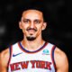 Landry Shamet Knicks